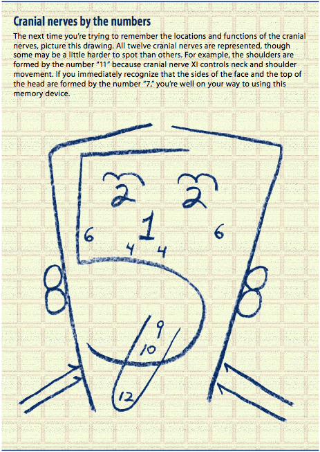 Cranial Nerve Testing Chart